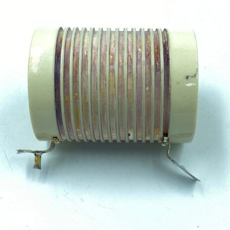 6uH 20% RF Choke Inductor / Coil Siemens B855580 75X55mm