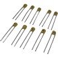 180pF 100V 10% Radial Ceramic Plate Capacitor 222263001181 Philips Qty:10