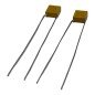 100pF 200V 5% Radial Ceramic Capacitor CCR05CG101JM Kemet Qty:2