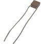 2.2nF 2200pF 100V Radial Ceramic Capacitor CK05BX222K Errie