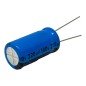 220uF 100V Radial Electrolytic Capacitor Lelon 25x13mm