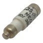 Neozed Ceramic Fuse 10A/380Vac 250Vdc