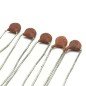 100PF 1KV AXIAL CERAMIC DISC CAPACITOR QTY:5